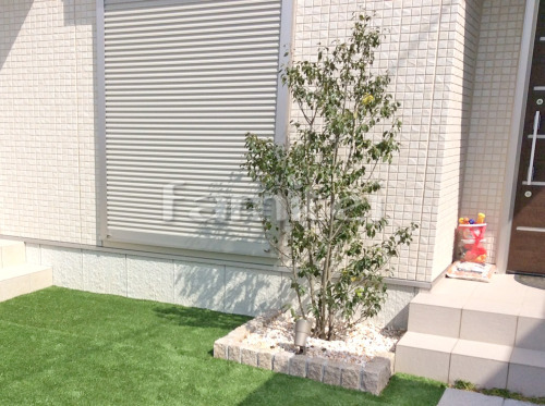 施工例シンボルツリー ソヨゴ 常緑樹 植栽 ピンコロ石花壇 サビミカゲ 現場番号
