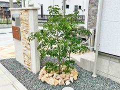 シンボルツリー 落葉樹 アオダモ 植栽 ロックガーデン 東洋工業 クラッシュロック スモールサイズ